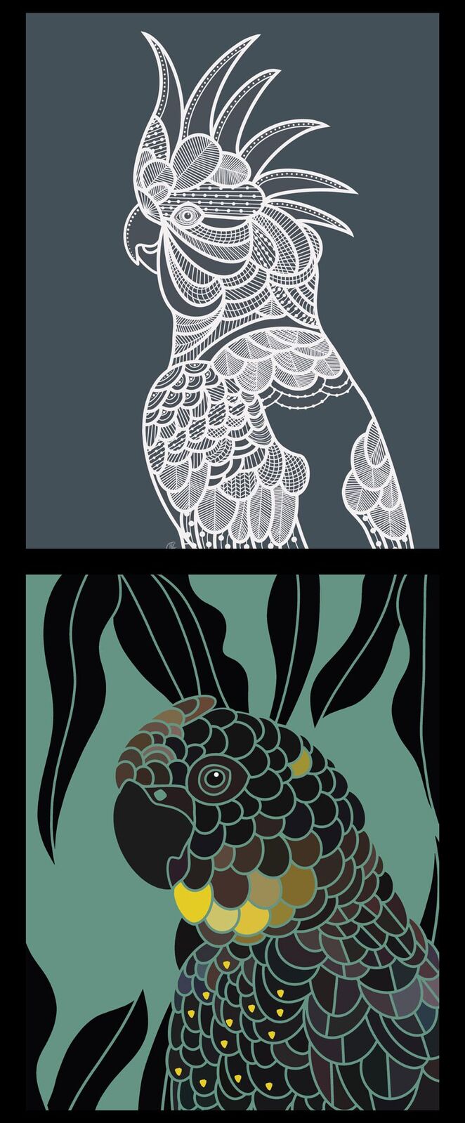 Two stylized parrot illustrations stacked vertically: a white cockatoo on a dark gray background at the top, and a dark green parrot with yellow accents on a teal background at the bottom.